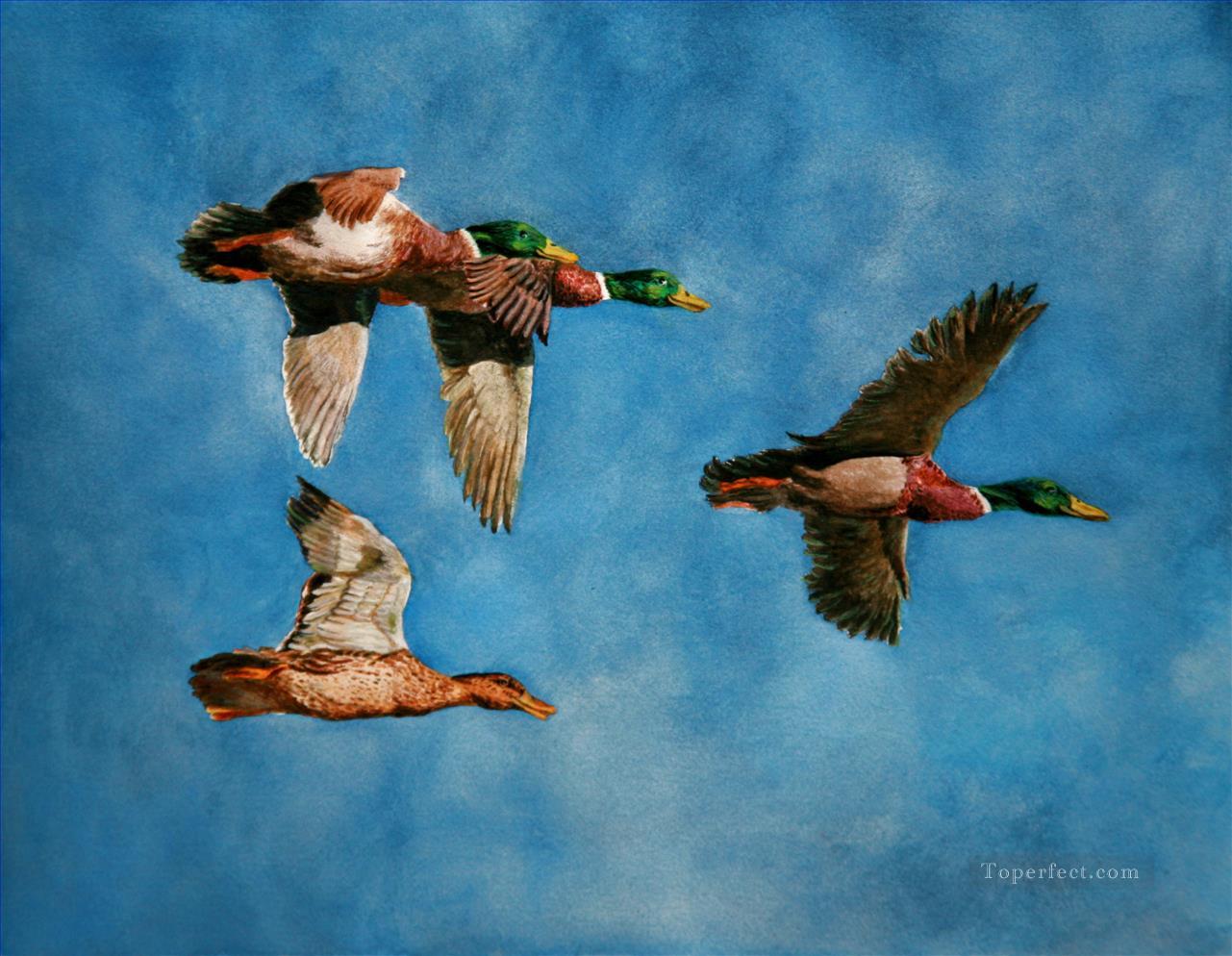 colverts voler aquarelle oiseaux Peintures à l'huile